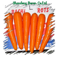 2015 Chinese Vegetable Fresh Young Carrot
